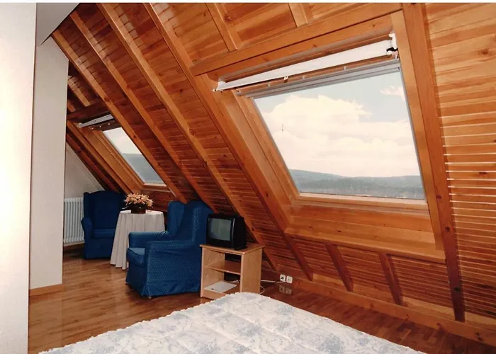 Hotel Pinares De Urbion 3*